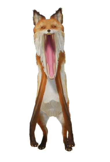 Foxer